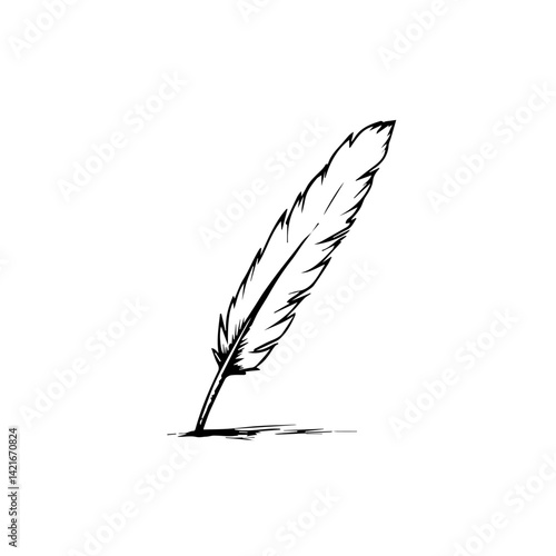 Quill pen drawing sketch on white background  