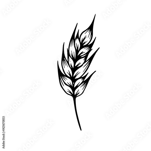 Wheat Ear Illustration in Black and White Style on White Background  