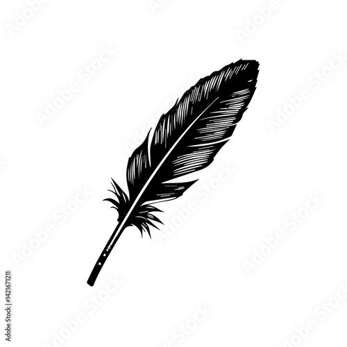 Black feather illustration on a white background  