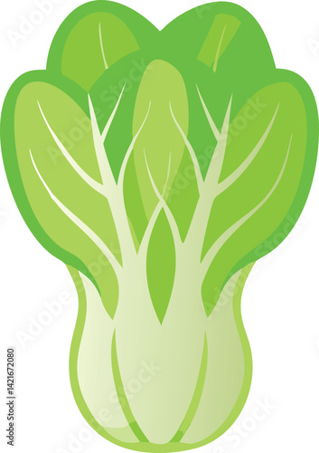 Bok Choy vector art 
