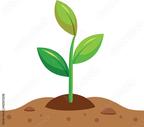 A plant sprout emerging from the soil