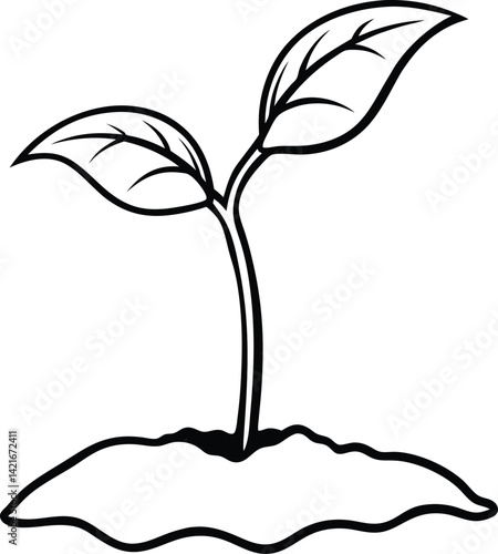 A plant sprout emerging from the soil