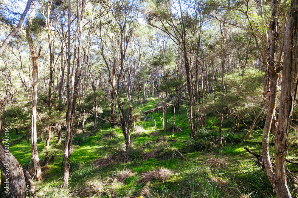 Warrandyte State Reserve in Melbourne Australia