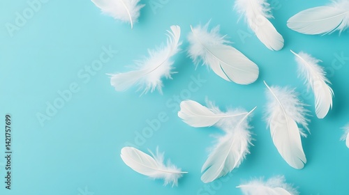 Graceful Feather Flurry Against Serene Blue Background
