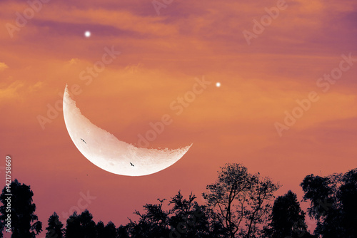 Smiling Moon Surreal Landscape with Crescent Moon and Vibrant Sky at Dusk