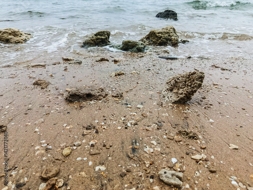 Tranquil Rocky Seaside with Overcast Sky and Gentle Waves