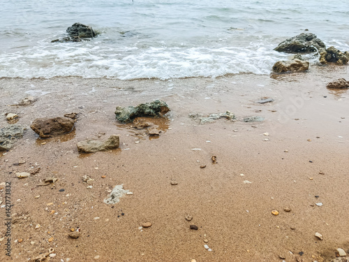 Tranquil Rocky Seaside with Overcast Sky and Gentle Waves