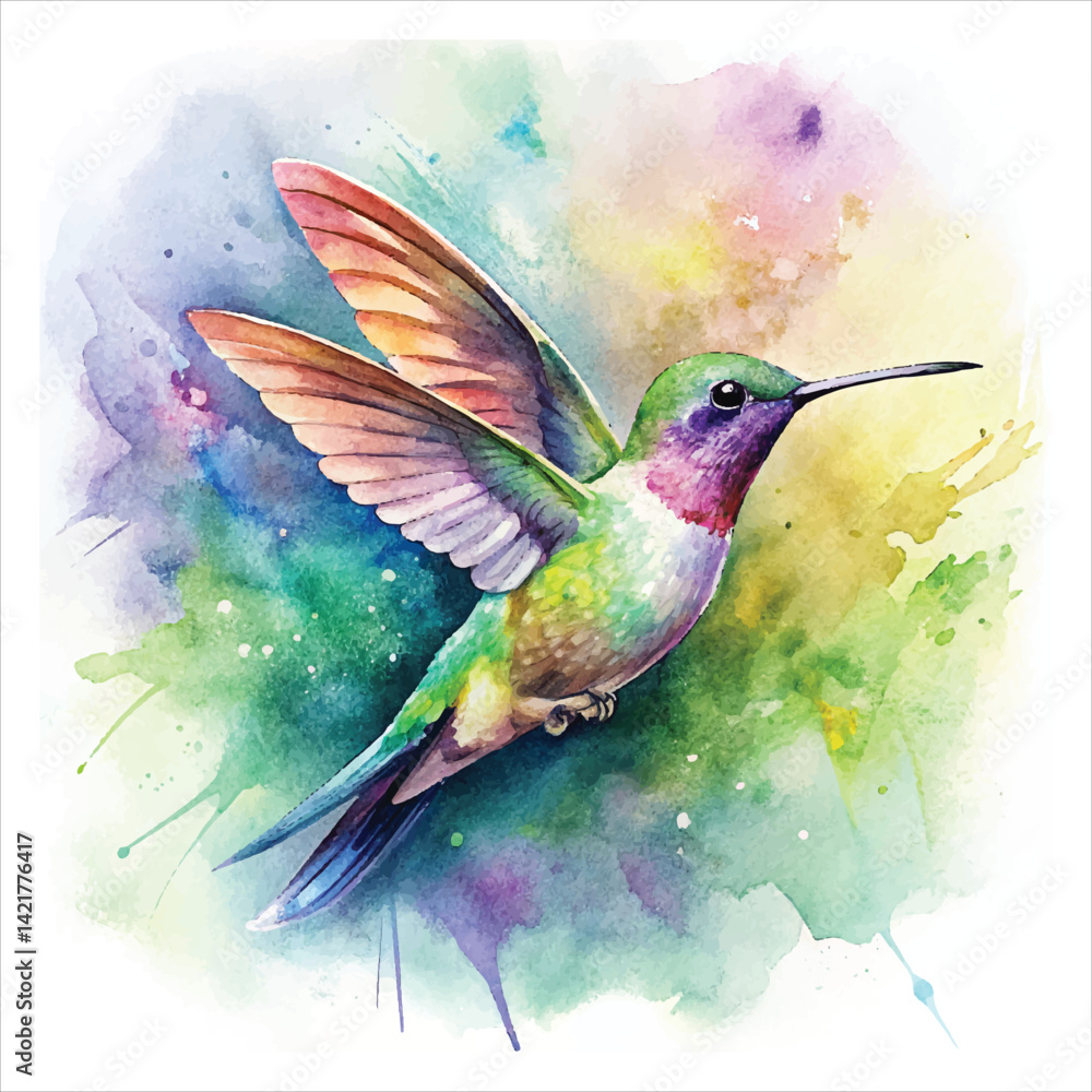 Fototapeta premium hummingbird in flight