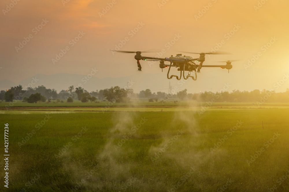 Smart farm with drones Agricultural drones fly to spray fertilizer on rice fields in the morning. Smart farm with drones Agricultural drones fly to spray fertilizer on rice fields in the morning.