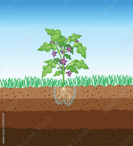 Obraz na płótnie Photosynthesis process. Tree produce oxygen using rain and sun. Diagram showing process of photosynthesis in plant. Colorful biology scheme for education in flat style w salonie