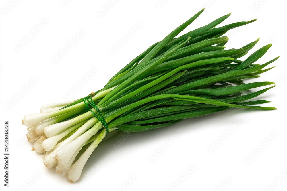 Bunch of Green Onions on White Background Bunch of Green Onions on White Background
