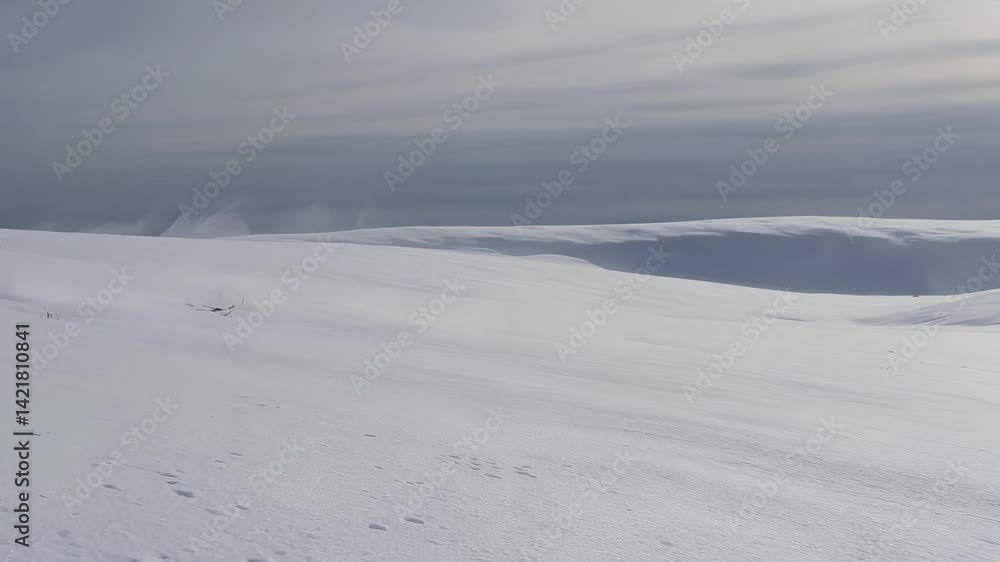 Serene Winter Landscape with Soft Snow and Light Fog Over Hills Serene Winter Landscape with Soft Snow and Light Fog Over Hills