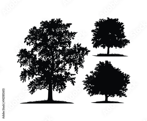 Alder Tree Silhouette EPS Template Illustration