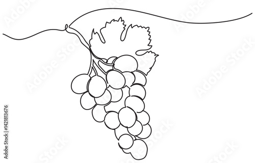 One continuous line drawing of a grape bunch, minimalist and clean. A simple, line art grape isolated on a white background vegan symbol in linear doodle style. Great for organic food designs vector.