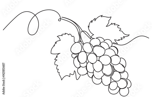 One continuous line drawing of a grape bunch, minimalist and clean. A simple, line art grape isolated on a white background vegan symbol in linear doodle style. Great for organic food designs vector.