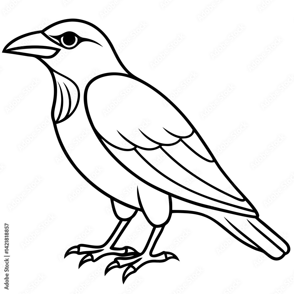 Elegant One-Line Crow Vector Drawing Elegant One-Line Crow Vector Drawing