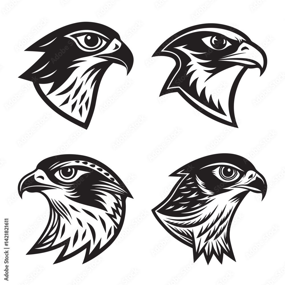 Fototapeta premium Detailed falcon head outline silhouette vector illustration