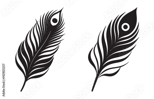 Single peacock feather bold line black and white vector