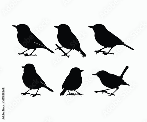 EPS Template of Yellow Rumped Warbler Silhouette Isolated