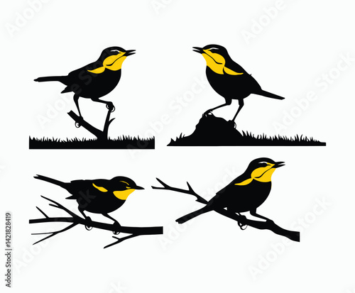 EPS Vector Template of Yellow Rumped Warbler Silhouette Collection