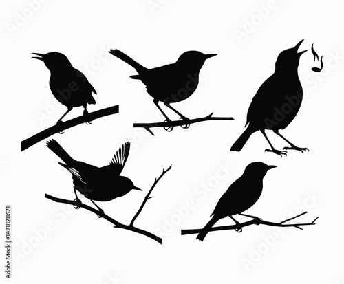 ellow Rumped Warbler Silhouette Collection EPS Vector Template