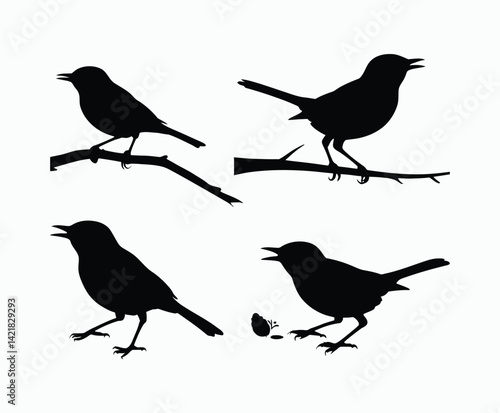 Yellow Rumped Warbler Bird Silhouette Set EPS Vector Template