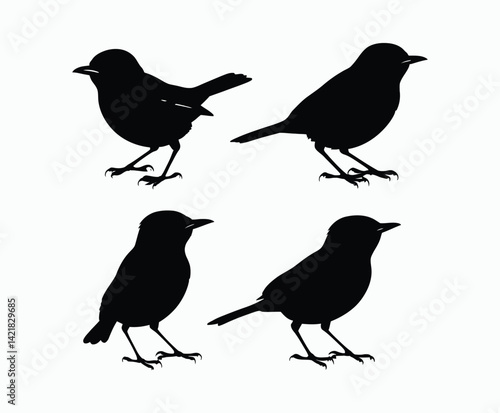 Yellow Rumped Warbler Silhouette Illustration EPS Vector Format