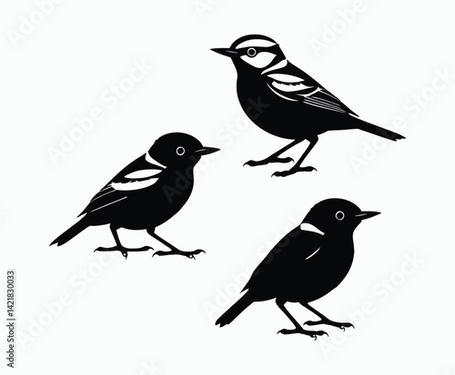 Yellow Rumped Warbler Silhouette Template Collection Vector Illustration