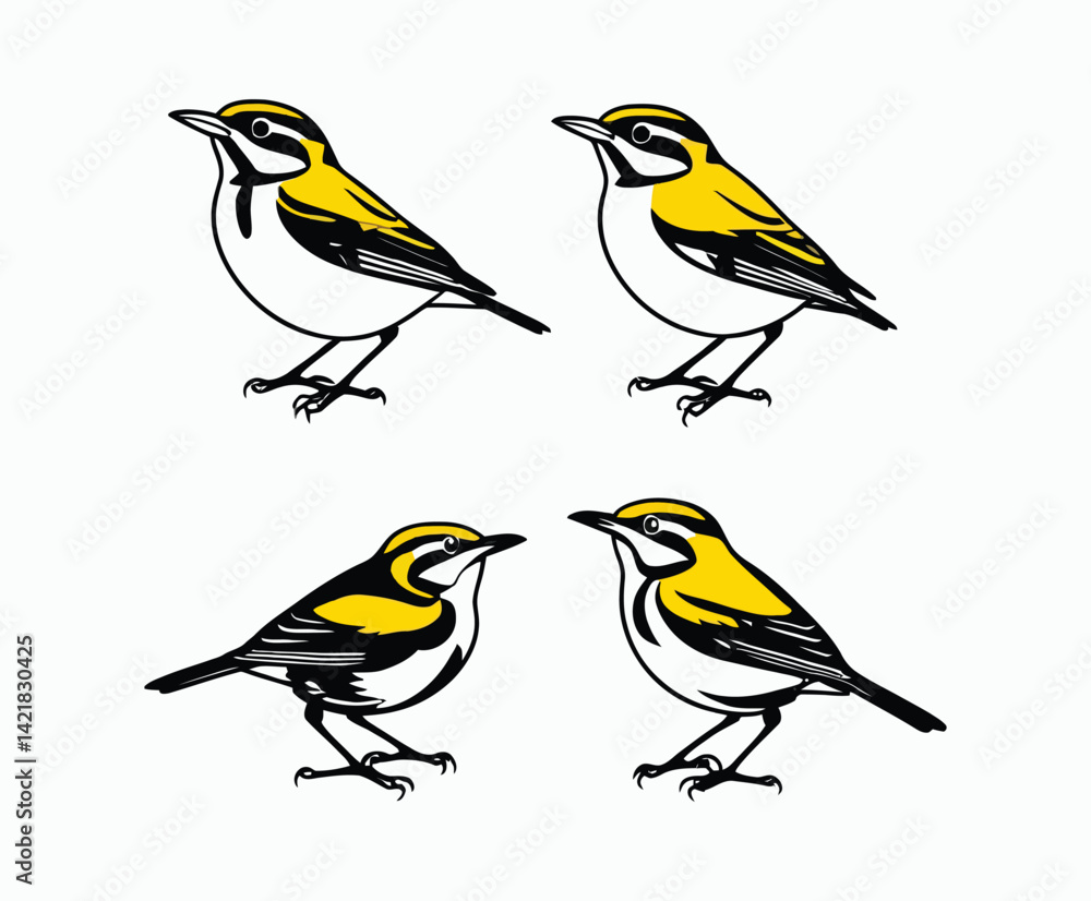 Fototapeta premium Yellow Rumped Warbler Silhouette Vector Collection EPS Template