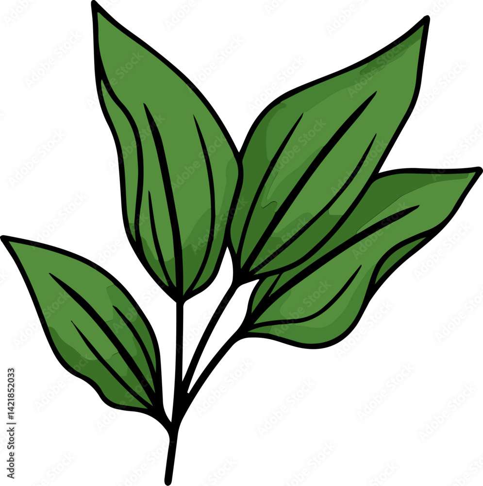 Naklejka premium green leaf isolated on white background