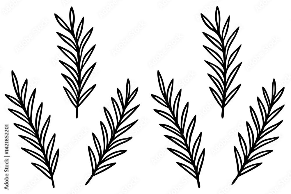Naklejka premium Fir Branch Sketch Style Vector Set