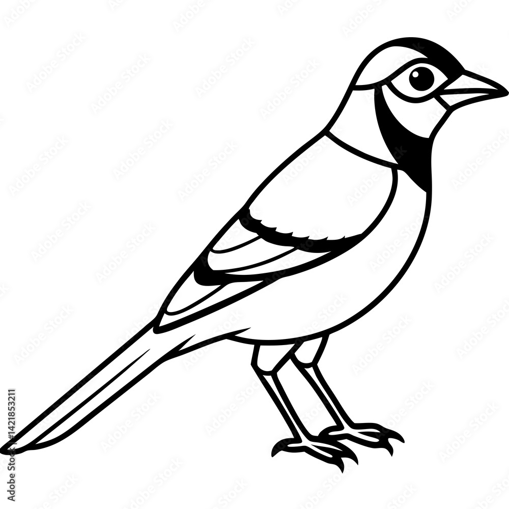 Obraz premium Jay One-Line Art Vector Illustration