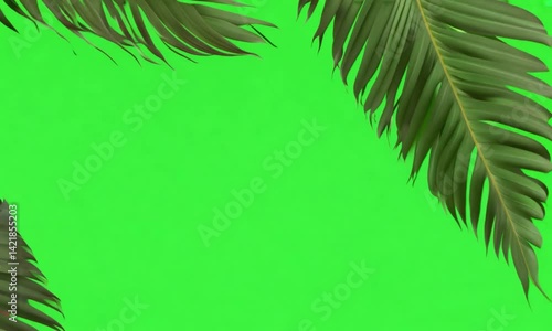 Green palm leaves on the green screen