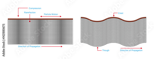 Vector illustration of seismic waves showing longitudinal and transverse wave propagation. understanding seismic waves: primary waves and earthquake vibrations.