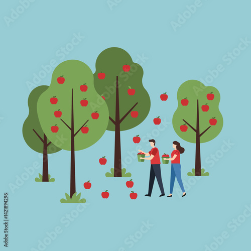 Apple orchard with people harvesting fresh red apples in green trees vector illustration natural outdoor scene 