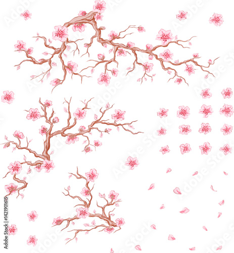 Pink cherry blossom design elements collection. Sakura branches with flowers, petals and isolated bloom flowers.
