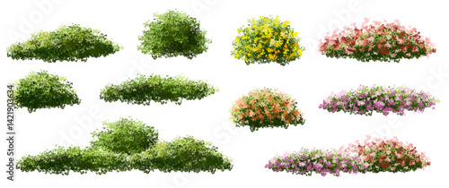  Vector watercolor blooming flower tree or forest side view isolated on white background for landscape and architecture drawing,elements for environment or and garden,green tree for garden section 