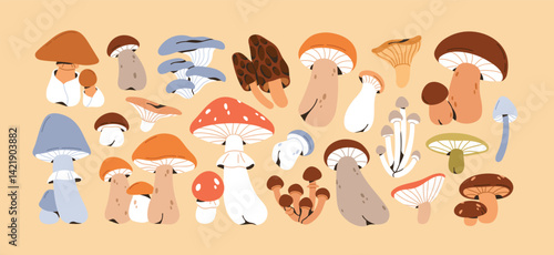 Mushroom Patchwork A charming array of fungal delights