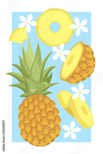 Vector fruit poster with pineapple