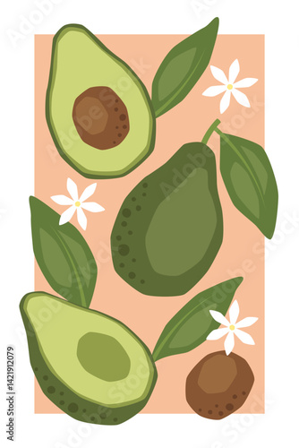 Vector fruit poster with avocado