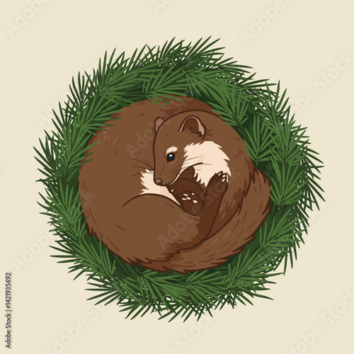 Pine green wreath framing curled brown marten resting peacefully in a circular shape natural wildlife illustration 