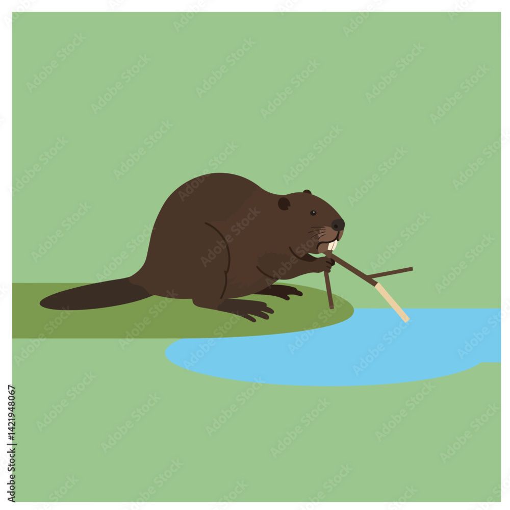 Obraz premium Beaver gnawing branch near water body surrounded by green grass in nature habitat scene 
