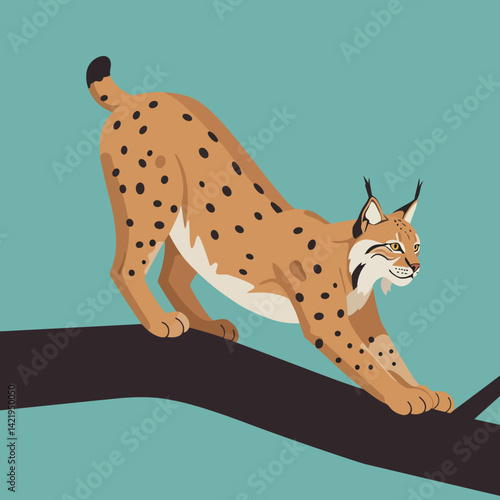 Eurasian lynx stretching on dark tree branch with teal background in animal wildlife illustration 