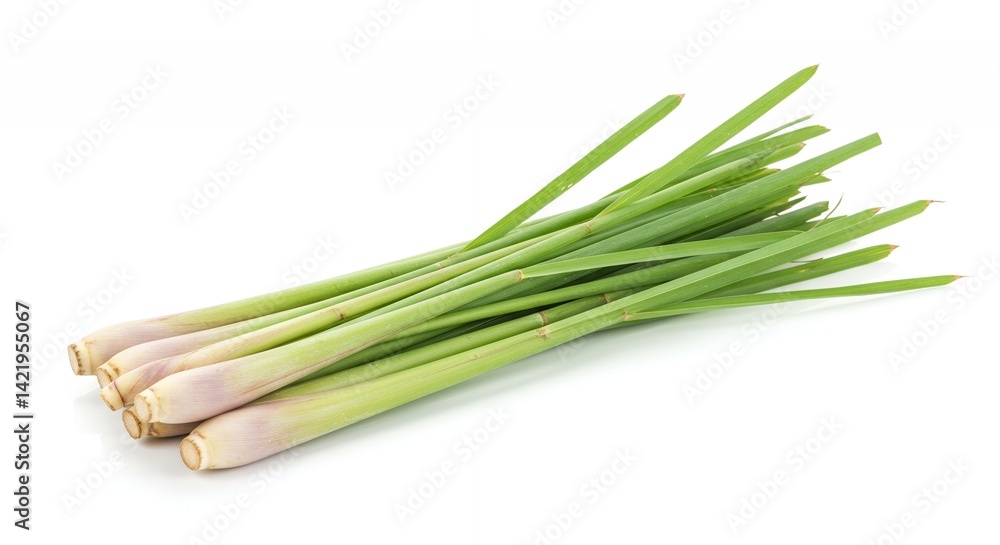 Fresh Lemongrass Stalks Displaying Vibrant Green Leaves and Pale White Bases on Pure White Background in Sharp Detail and Natural Lighting Fresh Lemongrass Stalks Displaying Vibrant Green Leaves and Pale White Bases on Pure White Background in Sharp Detail and Natural Lighting