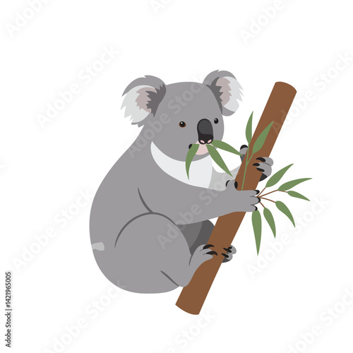 Koala climbing eucalyptus branch eating leaves in natural habitat vector illustration 