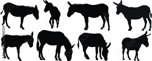 Collection of donkey silhouettes on a white background
