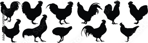 Silhouette illustration of various rooster shapes