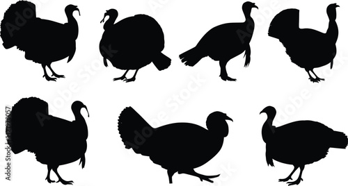 Silhouette images of turkeys in different poses
