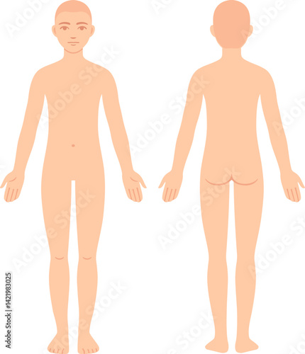 Unisex body chart, front and back view. Blank androgynous body template for medical infographic. Isolated flat color vector illustration.