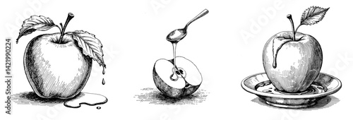 Vintage black and white sketch of apple with honey, symbolism of sweetness and prosperity